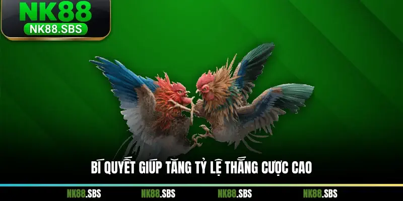 Bí quyết giúp tăng tỷ lệ thắng cược cao Bí quyết giúp tăng tỷ lệ thắng cược cao