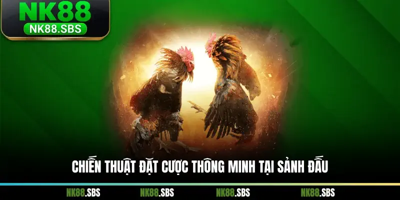 Chiến thuật đặt cược thông minh tại sảnh đấu