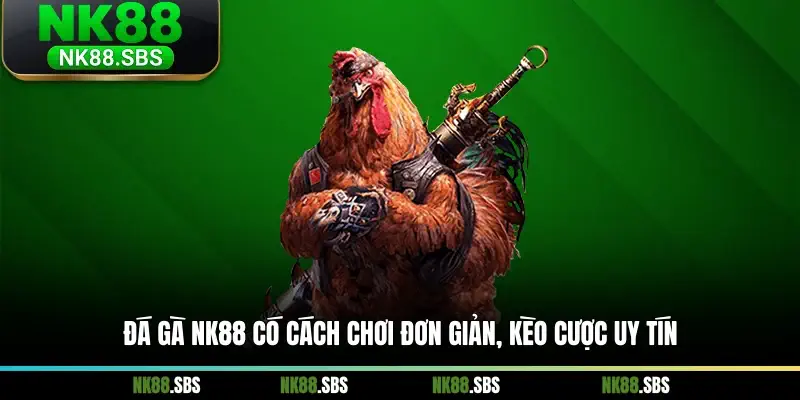 Đá gà NK88 có cách chơi đơn giản, kèo cược uy tín