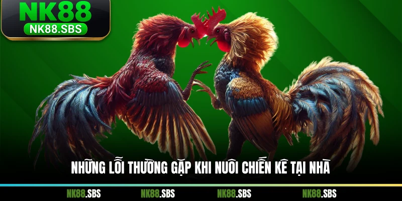Những lỗi thường gặp khi nuôi chiến kê tại nhà Những lỗi thường gặp khi nuôi chiến kê tại nhà